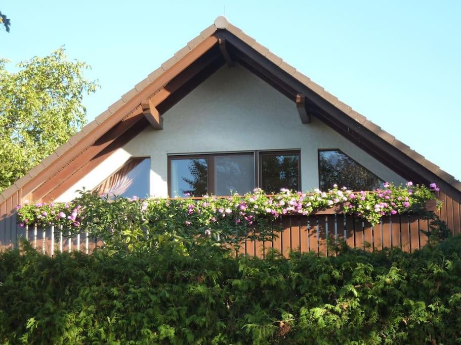Ferienwohnung Am Stadtrand Von Berlin Neu Buch Dış mekan fotoğraf
